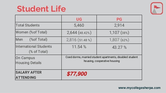 Graded written paper sample picture