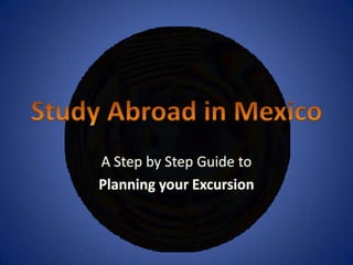 Study Abroad in Mexico A Step by Step Guide to  Planning your Excursion 