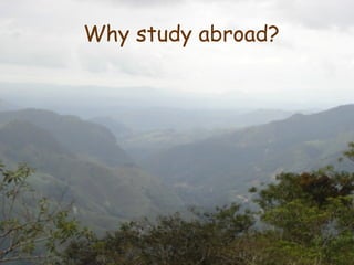 Why study abroad? 