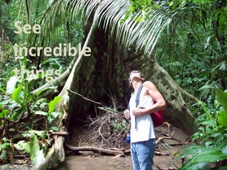 See incredible things 