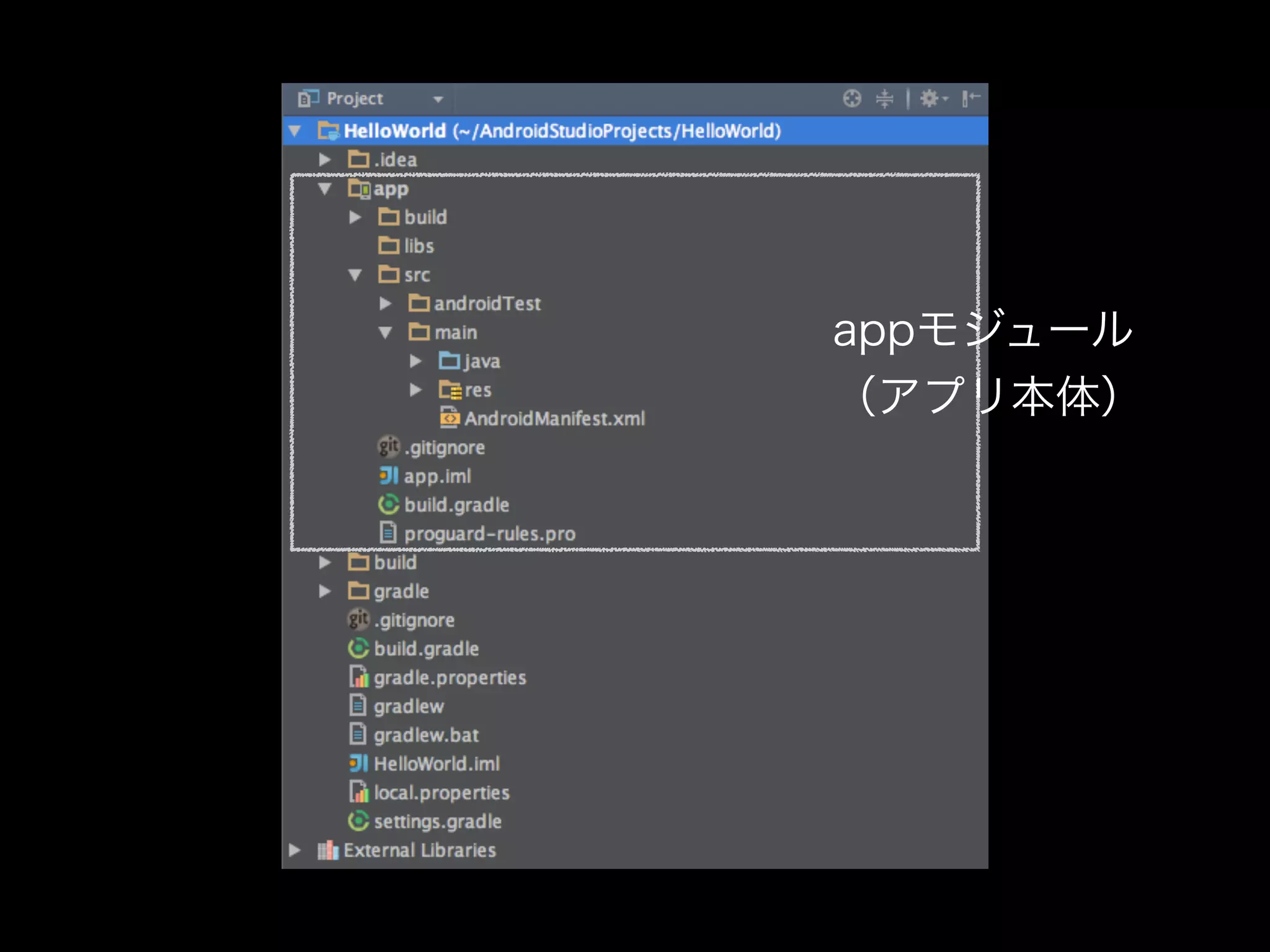 appモジュール 
（アプリ本体） 
 