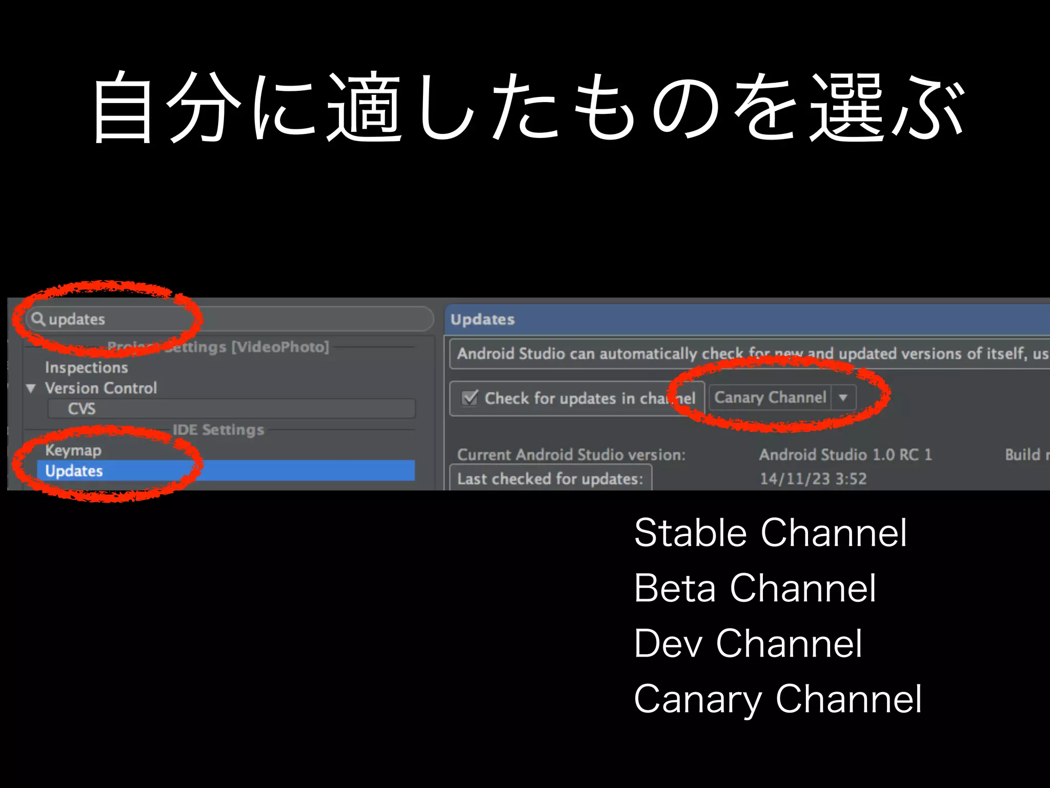 自分に適したものを選ぶ 
Stable Channel 
Beta Channel 
Dev Channel 
Canary Channel 
 