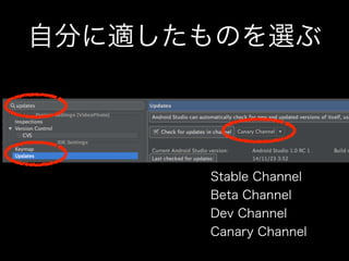 自分に適したものを選ぶ 
Stable Channel 
Beta Channel 
Dev Channel 
Canary Channel 
 