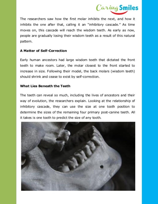 Study Examines Impact of Evolution on the Wisdom Tooth