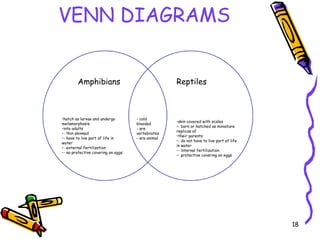 VENN DIAGRAMS Amphibians Reptiles - cold blooded - are vertebrates - are animal ,[object Object],[object Object],[object Object],[object Object],[object Object],[object Object],[object Object],[object Object],[object Object],[object Object],[object Object],[object Object]