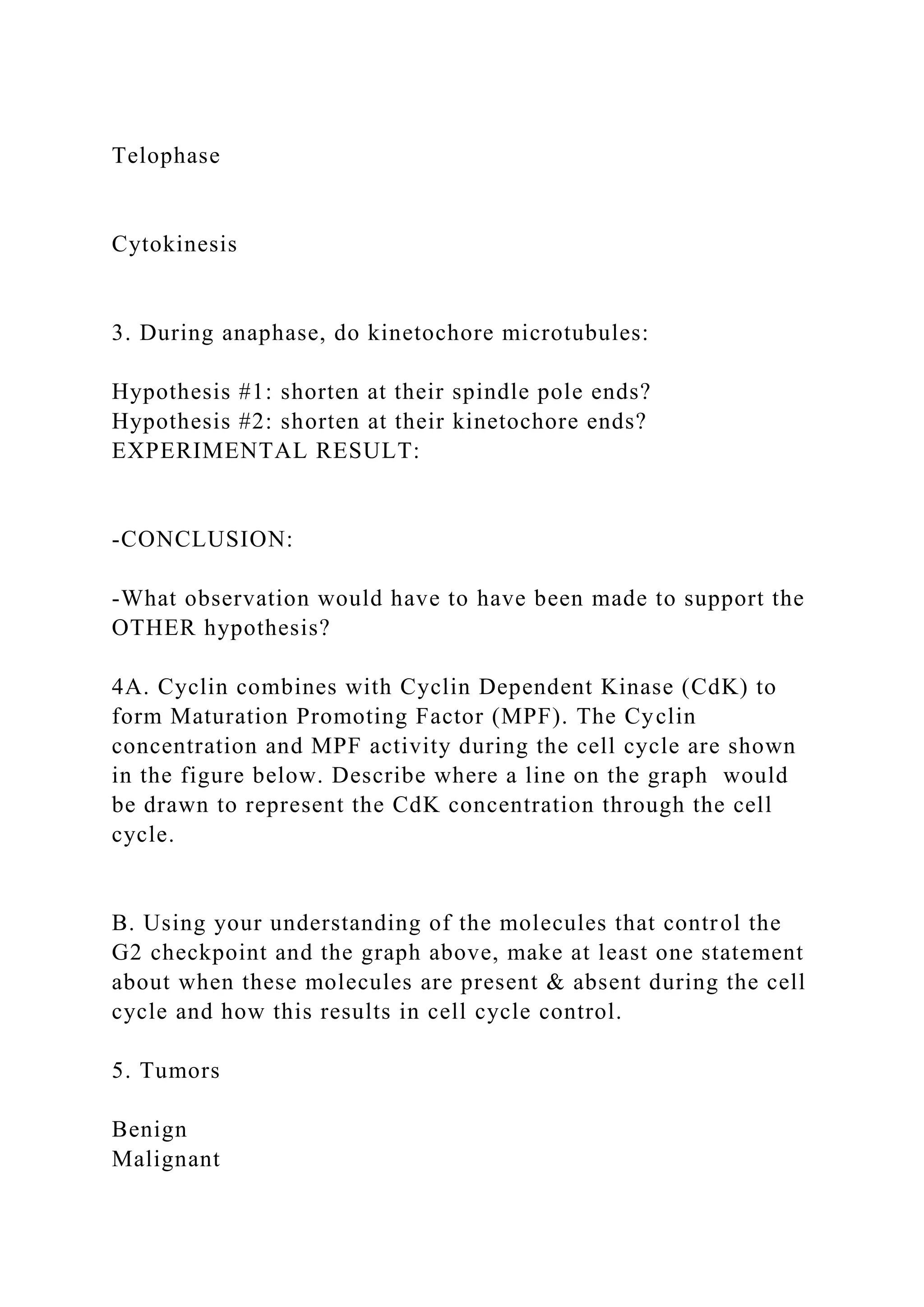 Telophase
Cytokinesis
3. During anaphase, do kinetochore microtubules:
Hypothesis #1: shorten at their spindle pole ends?
Hypothesis #2: shorten at their kinetochore ends?
EXPERIMENTAL RESULT:
-CONCLUSION:
-What observation would have to have been made to support the
OTHER hypothesis?
4A. Cyclin combines with Cyclin Dependent Kinase (CdK) to
form Maturation Promoting Factor (MPF). The Cyclin
concentration and MPF activity during the cell cycle are shown
in the figure below. Describe where a line on the graph would
be drawn to represent the CdK concentration through the cell
cycle.
B. Using your understanding of the molecules that control the
G2 checkpoint and the graph above, make at least one statement
about when these molecules are present & absent during the cell
cycle and how this results in cell cycle control.
5. Tumors
Benign
Malignant
 