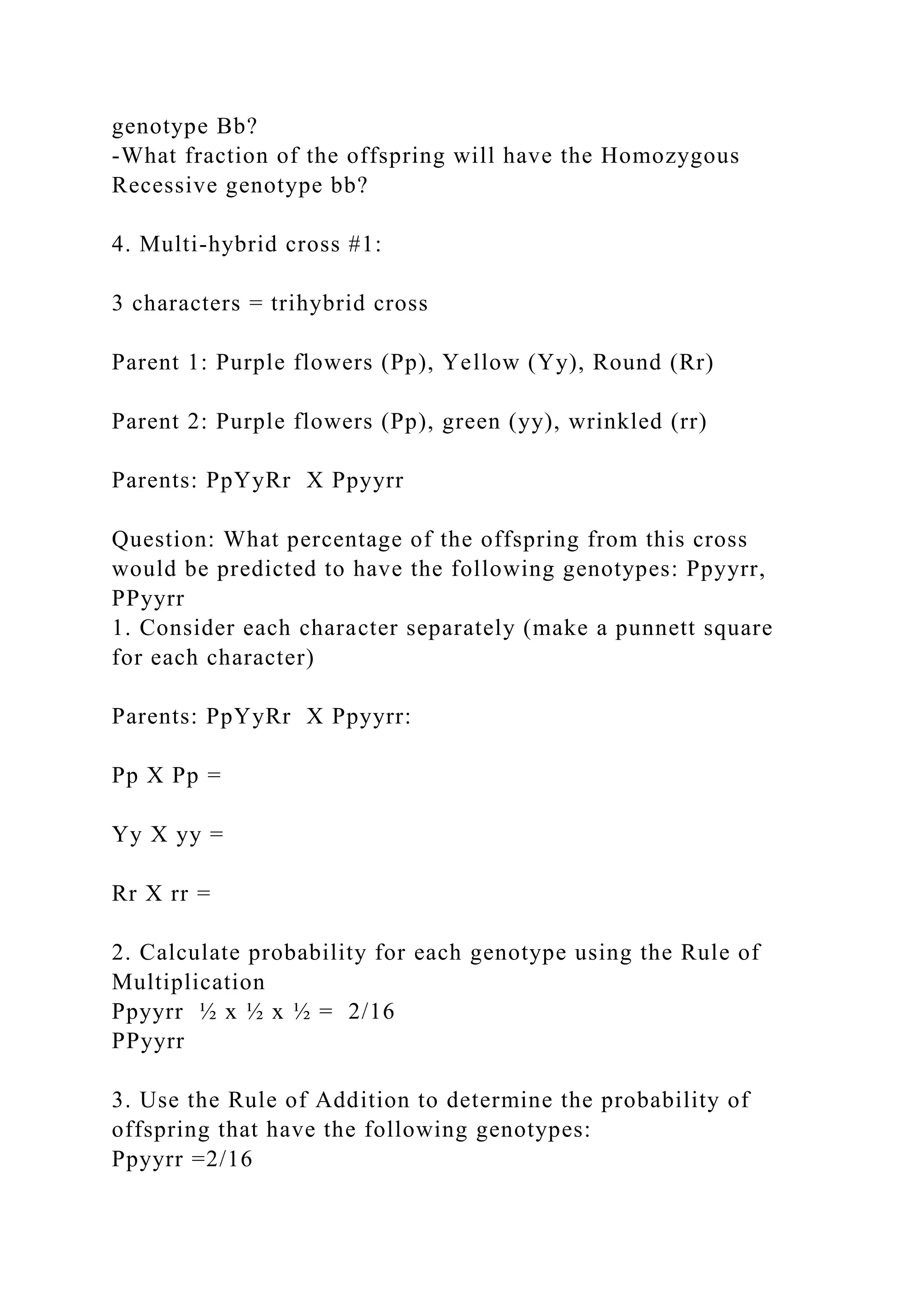 genotype Bb?
-What fraction of the offspring will have the Homozygous
Recessive genotype bb?
4. Multi-hybrid cross #1:
3 characters = trihybrid cross
Parent 1: Purple flowers (Pp), Yellow (Yy), Round (Rr)
Parent 2: Purple flowers (Pp), green (yy), wrinkled (rr)
Parents: PpYyRr X Ppyyrr
Question: What percentage of the offspring from this cross
would be predicted to have the following genotypes: Ppyyrr,
PPyyrr
1. Consider each character separately (make a punnett square
for each character)
Parents: PpYyRr X Ppyyrr:
Pp X Pp =
Yy X yy =
Rr X rr =
2. Calculate probability for each genotype using the Rule of
Multiplication
Ppyyrr ½ x ½ x ½ = 2/16
PPyyrr
3. Use the Rule of Addition to determine the probability of
offspring that have the following genotypes:
Ppyyrr =2/16
 