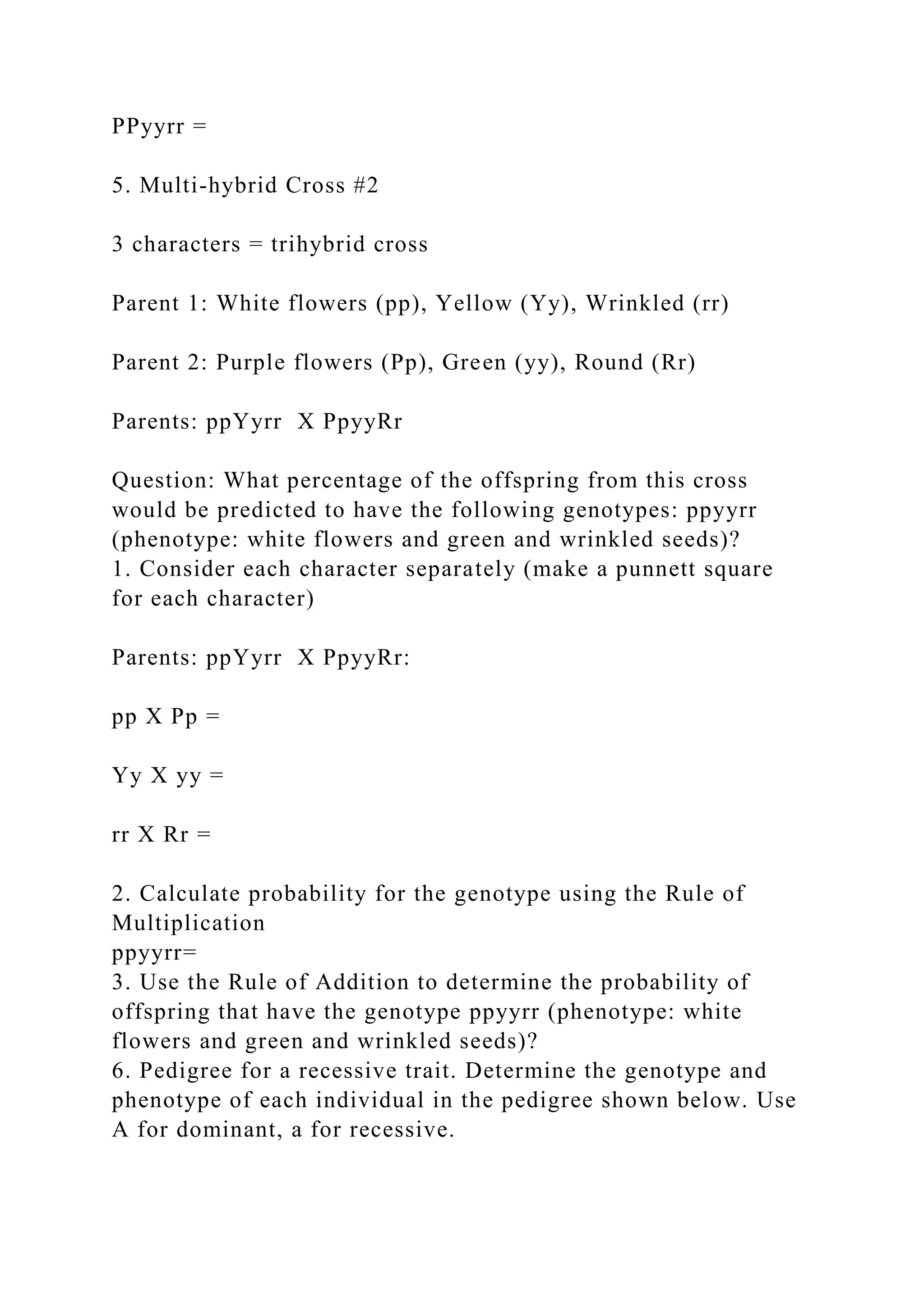 PPyyrr =
5. Multi-hybrid Cross #2
3 characters = trihybrid cross
Parent 1: White flowers (pp), Yellow (Yy), Wrinkled (rr)
Parent 2: Purple flowers (Pp), Green (yy), Round (Rr)
Parents: ppYyrr X PpyyRr
Question: What percentage of the offspring from this cross
would be predicted to have the following genotypes: ppyyrr
(phenotype: white flowers and green and wrinkled seeds)?
1. Consider each character separately (make a punnett square
for each character)
Parents: ppYyrr X PpyyRr:
pp X Pp =
Yy X yy =
rr X Rr =
2. Calculate probability for the genotype using the Rule of
Multiplication
ppyyrr=
3. Use the Rule of Addition to determine the probability of
offspring that have the genotype ppyyrr (phenotype: white
flowers and green and wrinkled seeds)?
6. Pedigree for a recessive trait. Determine the genotype and
phenotype of each individual in the pedigree shown below. Use
A for dominant, a for recessive.
 