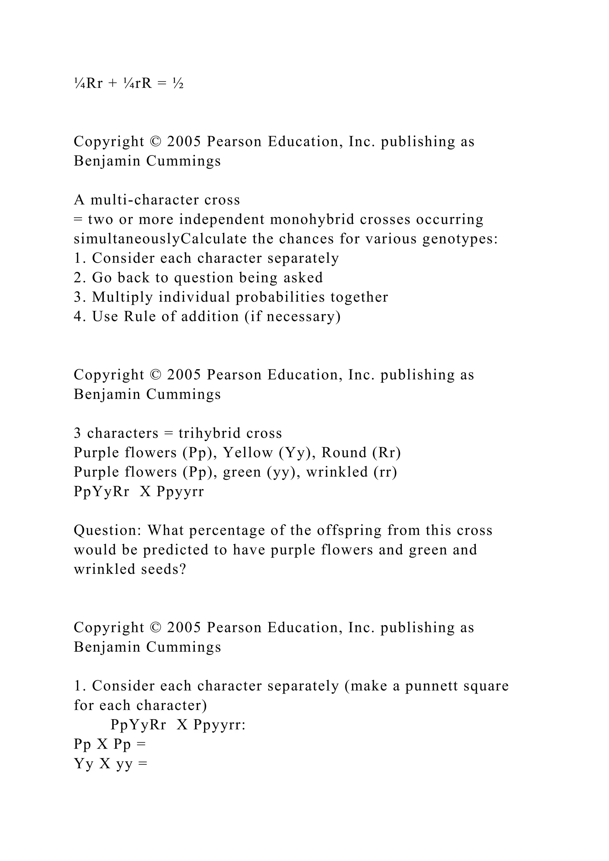 ¼Rr + ¼rR = ½
Copyright © 2005 Pearson Education, Inc. publishing as
Benjamin Cummings
A multi-character cross
= two or more independent monohybrid crosses occurring
simultaneouslyCalculate the chances for various genotypes:
1. Consider each character separately
2. Go back to question being asked
3. Multiply individual probabilities together
4. Use Rule of addition (if necessary)
Copyright © 2005 Pearson Education, Inc. publishing as
Benjamin Cummings
3 characters = trihybrid cross
Purple flowers (Pp), Yellow (Yy), Round (Rr)
Purple flowers (Pp), green (yy), wrinkled (rr)
PpYyRr X Ppyyrr
Question: What percentage of the offspring from this cross
would be predicted to have purple flowers and green and
wrinkled seeds?
Copyright © 2005 Pearson Education, Inc. publishing as
Benjamin Cummings
1. Consider each character separately (make a punnett square
for each character)
PpYyRr X Ppyyrr:
Pp X Pp =
Yy X yy =
 