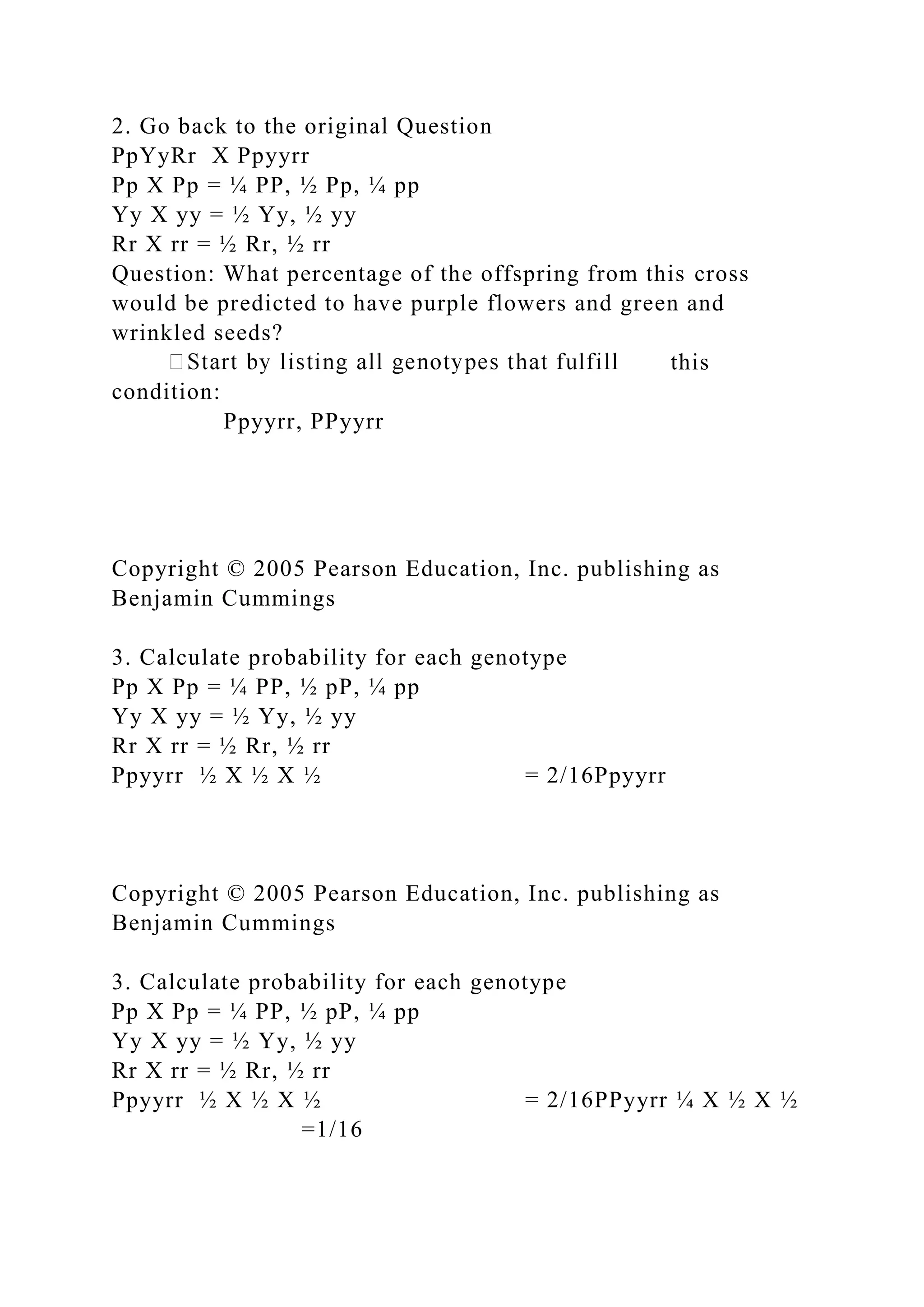 2. Go back to the original Question
PpYyRr X Ppyyrr
Pp X Pp = ¼ PP, ½ Pp, ¼ pp
Yy X yy = ½ Yy, ½ yy
Rr X rr = ½ Rr, ½ rr
Question: What percentage of the offspring from this cross
would be predicted to have purple flowers and green and
wrinkled seeds?
this
condition:
Ppyyrr, PPyyrr
Copyright © 2005 Pearson Education, Inc. publishing as
Benjamin Cummings
3. Calculate probability for each genotype
Pp X Pp = ¼ PP, ½ pP, ¼ pp
Yy X yy = ½ Yy, ½ yy
Rr X rr = ½ Rr, ½ rr
Ppyyrr ½ X ½ X ½ = 2/16Ppyyrr
Copyright © 2005 Pearson Education, Inc. publishing as
Benjamin Cummings
3. Calculate probability for each genotype
Pp X Pp = ¼ PP, ½ pP, ¼ pp
Yy X yy = ½ Yy, ½ yy
Rr X rr = ½ Rr, ½ rr
Ppyyrr ½ X ½ X ½ = 2/16PPyyrr ¼ X ½ X ½
=1/16
 