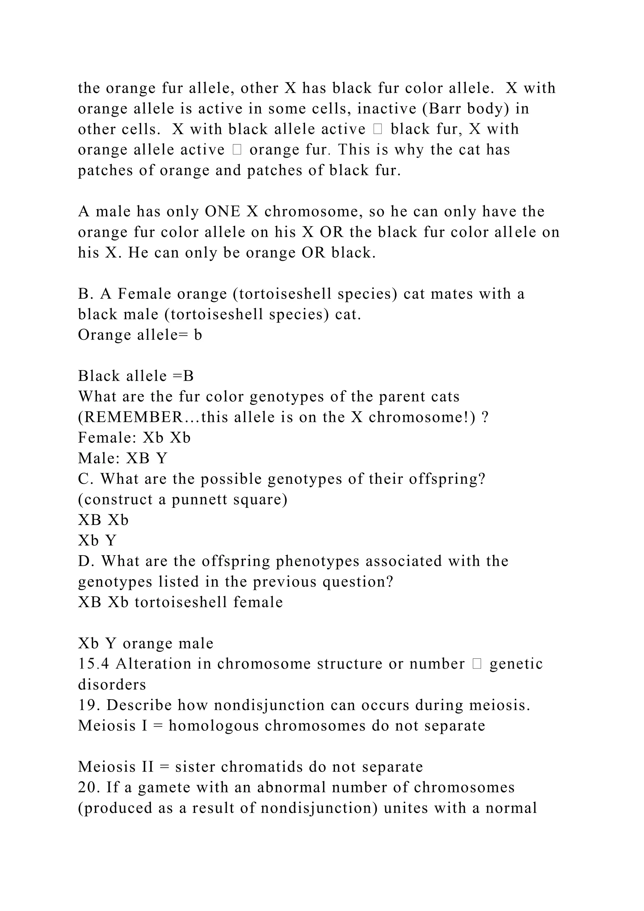the orange fur allele, other X has black fur color allele. X with
orange allele is active in some cells, inactive (Barr body) in
other cells. X with black
patches of orange and patches of black fur.
A male has only ONE X chromosome, so he can only have the
orange fur color allele on his X OR the black fur color allele on
his X. He can only be orange OR black.
B. A Female orange (tortoiseshell species) cat mates with a
black male (tortoiseshell species) cat.
Orange allele= b
Black allele =B
What are the fur color genotypes of the parent cats
(REMEMBER…this allele is on the X chromosome!) ?
Female: Xb Xb
Male: XB Y
C. What are the possible genotypes of their offspring?
(construct a punnett square)
XB Xb
Xb Y
D. What are the offspring phenotypes associated with the
genotypes listed in the previous question?
XB Xb tortoiseshell female
Xb Y orange male
disorders
19. Describe how nondisjunction can occurs during meiosis.
Meiosis I = homologous chromosomes do not separate
Meiosis II = sister chromatids do not separate
20. If a gamete with an abnormal number of chromosomes
(produced as a result of nondisjunction) unites with a normal
 