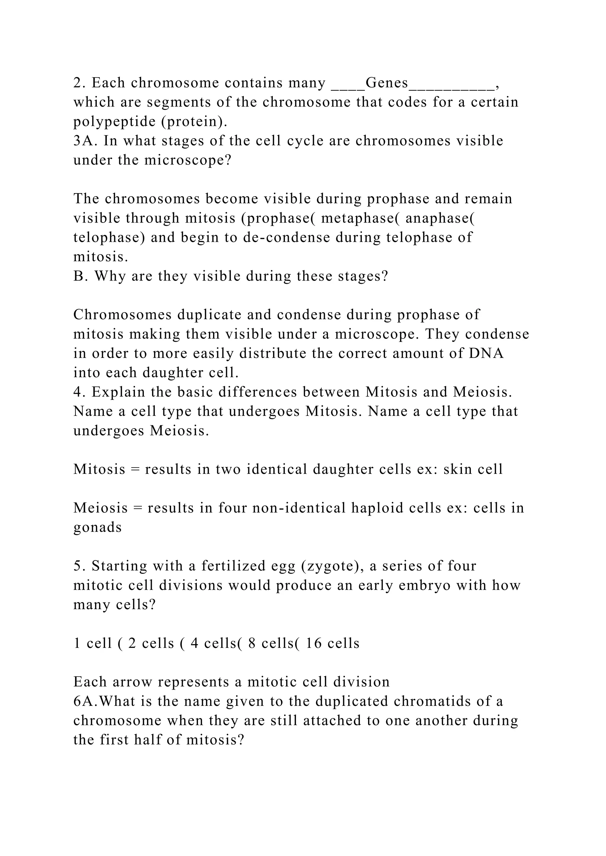 2. Each chromosome contains many ____Genes__________,
which are segments of the chromosome that codes for a certain
polypeptide (protein).
3A. In what stages of the cell cycle are chromosomes visible
under the microscope?
The chromosomes become visible during prophase and remain
visible through mitosis (prophase( metaphase( anaphase(
telophase) and begin to de-condense during telophase of
mitosis.
B. Why are they visible during these stages?
Chromosomes duplicate and condense during prophase of
mitosis making them visible under a microscope. They condense
in order to more easily distribute the correct amount of DNA
into each daughter cell.
4. Explain the basic differences between Mitosis and Meiosis.
Name a cell type that undergoes Mitosis. Name a cell type that
undergoes Meiosis.
Mitosis = results in two identical daughter cells ex: skin cell
Meiosis = results in four non-identical haploid cells ex: cells in
gonads
5. Starting with a fertilized egg (zygote), a series of four
mitotic cell divisions would produce an early embryo with how
many cells?
1 cell ( 2 cells ( 4 cells( 8 cells( 16 cells
Each arrow represents a mitotic cell division
6A.What is the name given to the duplicated chromatids of a
chromosome when they are still attached to one another during
the first half of mitosis?
 