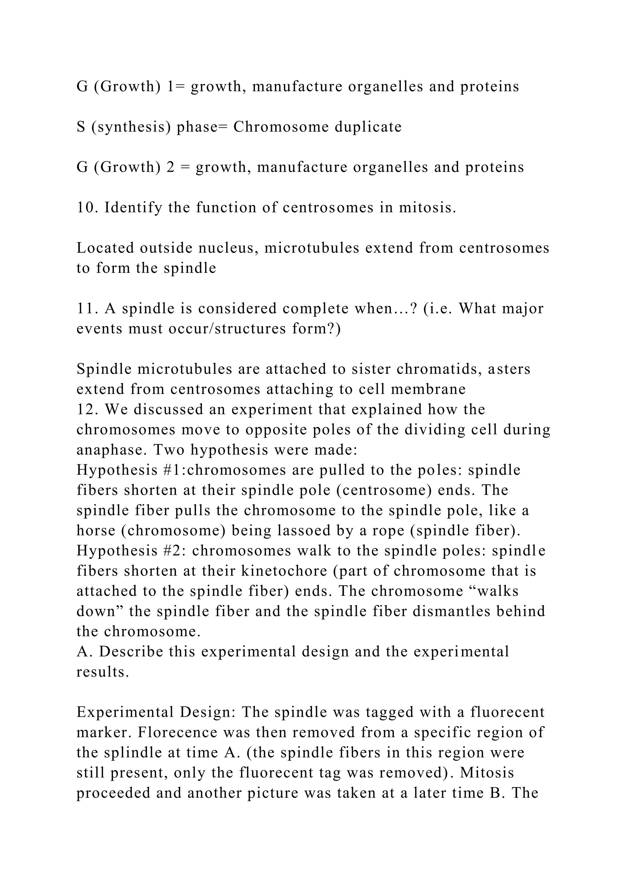 G (Growth) 1= growth, manufacture organelles and proteins
S (synthesis) phase= Chromosome duplicate
G (Growth) 2 = growth, manufacture organelles and proteins
10. Identify the function of centrosomes in mitosis.
Located outside nucleus, microtubules extend from centrosomes
to form the spindle
11. A spindle is considered complete when…? (i.e. What major
events must occur/structures form?)
Spindle microtubules are attached to sister chromatids, asters
extend from centrosomes attaching to cell membrane
12. We discussed an experiment that explained how the
chromosomes move to opposite poles of the dividing cell during
anaphase. Two hypothesis were made:
Hypothesis #1:chromosomes are pulled to the poles: spindle
fibers shorten at their spindle pole (centrosome) ends. The
spindle fiber pulls the chromosome to the spindle pole, like a
horse (chromosome) being lassoed by a rope (spindle fiber).
Hypothesis #2: chromosomes walk to the spindle poles: spindle
fibers shorten at their kinetochore (part of chromosome that is
attached to the spindle fiber) ends. The chromosome “walks
down” the spindle fiber and the spindle fiber dismantles behind
the chromosome.
A. Describe this experimental design and the experimental
results.
Experimental Design: The spindle was tagged with a fluorecent
marker. Florecence was then removed from a specific region of
the splindle at time A. (the spindle fibers in this region were
still present, only the fluorecent tag was removed). Mitosis
proceeded and another picture was taken at a later time B. The
 