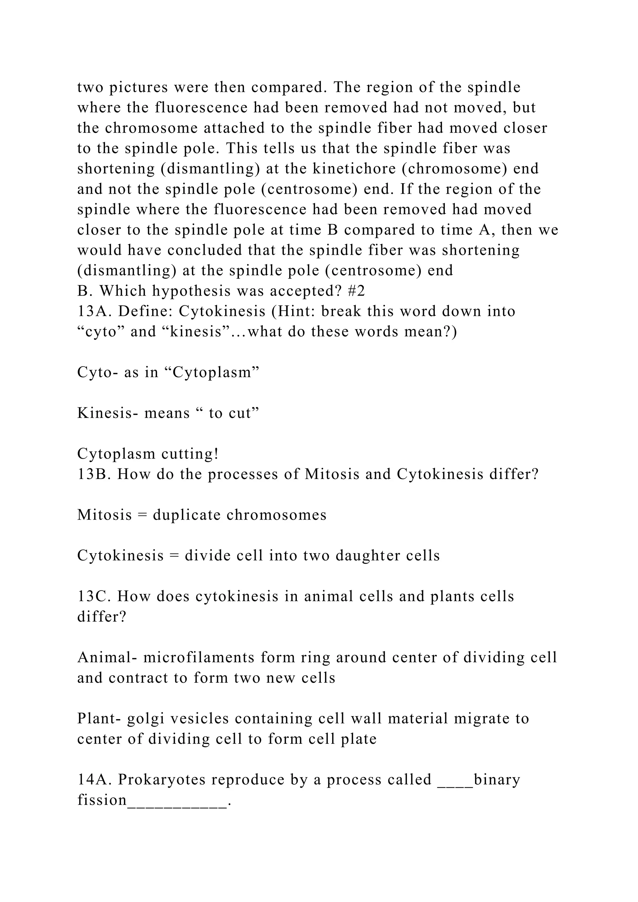 two pictures were then compared. The region of the spindle
where the fluorescence had been removed had not moved, but
the chromosome attached to the spindle fiber had moved closer
to the spindle pole. This tells us that the spindle fiber was
shortening (dismantling) at the kinetichore (chromosome) end
and not the spindle pole (centrosome) end. If the region of the
spindle where the fluorescence had been removed had moved
closer to the spindle pole at time B compared to time A, then we
would have concluded that the spindle fiber was shortening
(dismantling) at the spindle pole (centrosome) end
B. Which hypothesis was accepted? #2
13A. Define: Cytokinesis (Hint: break this word down into
“cyto” and “kinesis”…what do these words mean?)
Cyto- as in “Cytoplasm”
Kinesis- means “ to cut”
Cytoplasm cutting!
13B. How do the processes of Mitosis and Cytokinesis differ?
Mitosis = duplicate chromosomes
Cytokinesis = divide cell into two daughter cells
13C. How does cytokinesis in animal cells and plants cells
differ?
Animal- microfilaments form ring around center of dividing cell
and contract to form two new cells
Plant- golgi vesicles containing cell wall material migrate to
center of dividing cell to form cell plate
14A. Prokaryotes reproduce by a process called ____binary
fission___________.
 