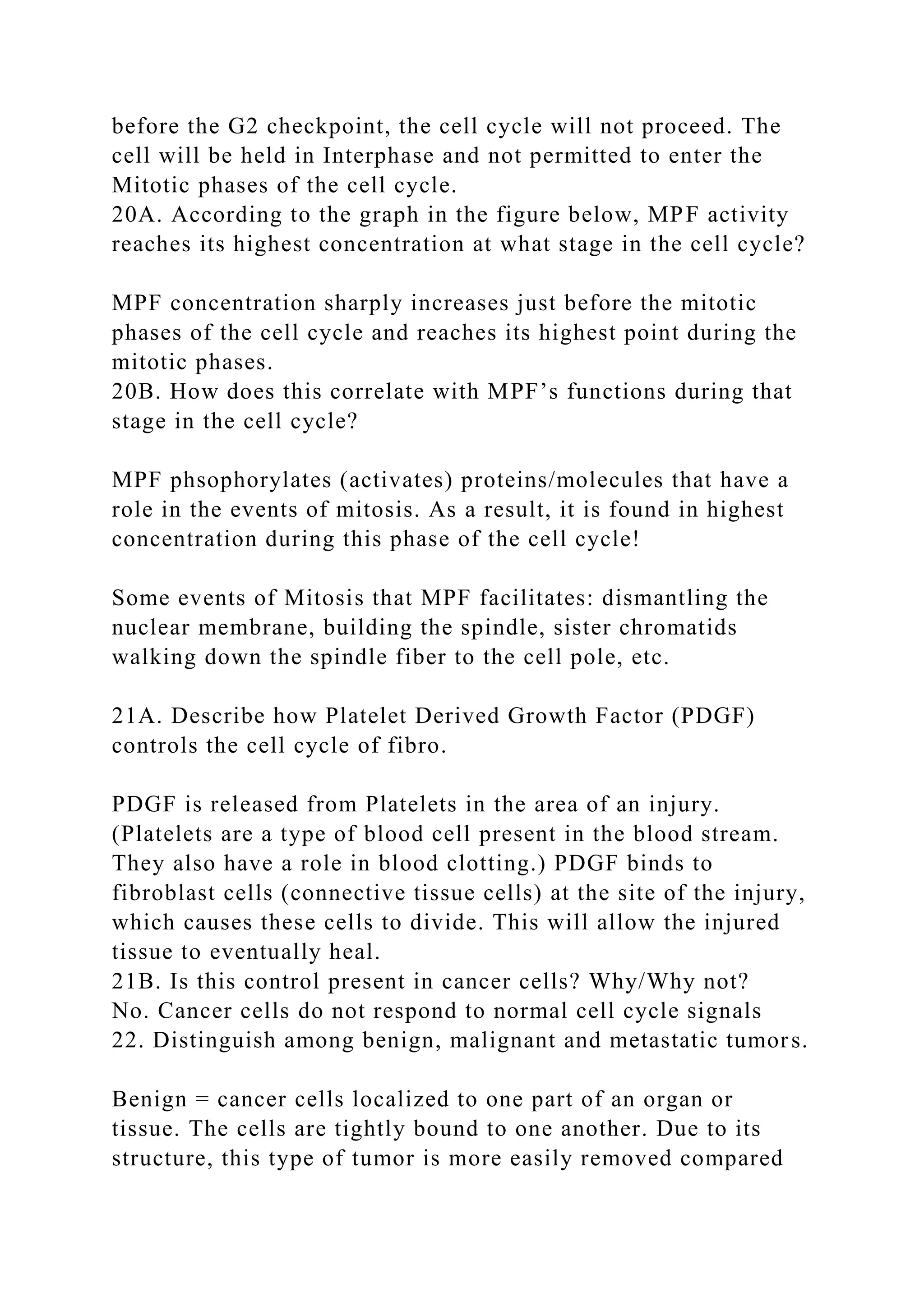 before the G2 checkpoint, the cell cycle will not proceed. The
cell will be held in Interphase and not permitted to enter the
Mitotic phases of the cell cycle.
20A. According to the graph in the figure below, MPF activity
reaches its highest concentration at what stage in the cell cycle?
MPF concentration sharply increases just before the mitotic
phases of the cell cycle and reaches its highest point during the
mitotic phases.
20B. How does this correlate with MPF’s functions during that
stage in the cell cycle?
MPF phsophorylates (activates) proteins/molecules that have a
role in the events of mitosis. As a result, it is found in highest
concentration during this phase of the cell cycle!
Some events of Mitosis that MPF facilitates: dismantling the
nuclear membrane, building the spindle, sister chromatids
walking down the spindle fiber to the cell pole, etc.
21A. Describe how Platelet Derived Growth Factor (PDGF)
controls the cell cycle of fibro.
PDGF is released from Platelets in the area of an injury.
(Platelets are a type of blood cell present in the blood stream.
They also have a role in blood clotting.) PDGF binds to
fibroblast cells (connective tissue cells) at the site of the injury,
which causes these cells to divide. This will allow the injured
tissue to eventually heal.
21B. Is this control present in cancer cells? Why/Why not?
No. Cancer cells do not respond to normal cell cycle signals
22. Distinguish among benign, malignant and metastatic tumors.
Benign = cancer cells localized to one part of an organ or
tissue. The cells are tightly bound to one another. Due to its
structure, this type of tumor is more easily removed compared
 