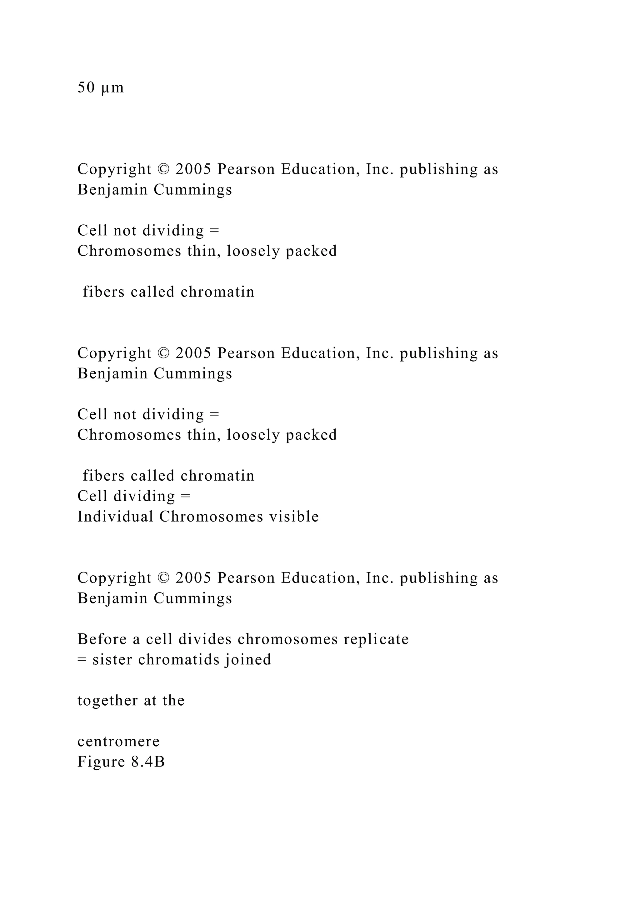 50 µm
Copyright © 2005 Pearson Education, Inc. publishing as
Benjamin Cummings
Cell not dividing =
Chromosomes thin, loosely packed
fibers called chromatin
Copyright © 2005 Pearson Education, Inc. publishing as
Benjamin Cummings
Cell not dividing =
Chromosomes thin, loosely packed
fibers called chromatin
Cell dividing =
Individual Chromosomes visible
Copyright © 2005 Pearson Education, Inc. publishing as
Benjamin Cummings
Before a cell divides chromosomes replicate
= sister chromatids joined
together at the
centromere
Figure 8.4B
 