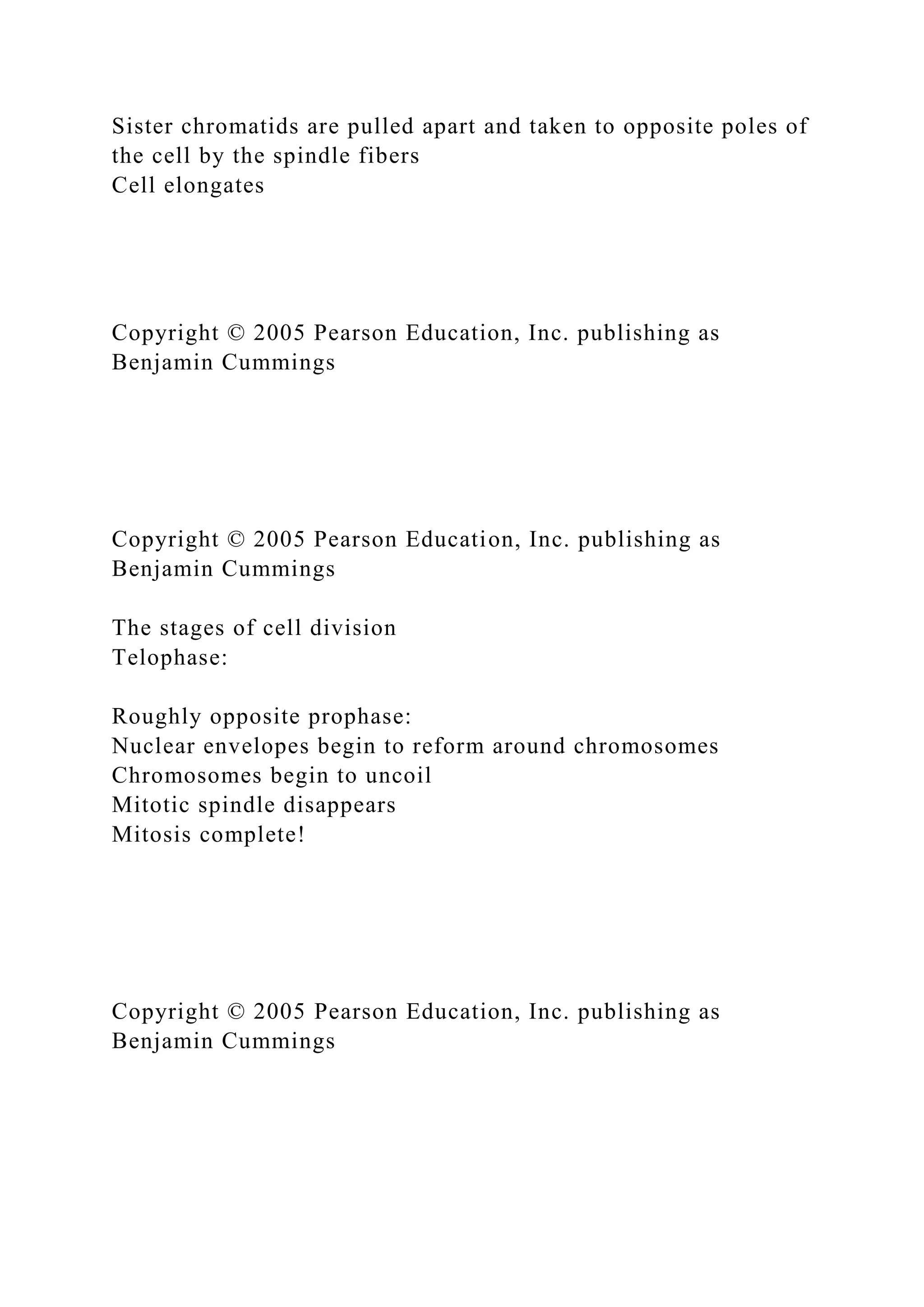 Sister chromatids are pulled apart and taken to opposite poles of
the cell by the spindle fibers
Cell elongates
Copyright © 2005 Pearson Education, Inc. publishing as
Benjamin Cummings
Copyright © 2005 Pearson Education, Inc. publishing as
Benjamin Cummings
The stages of cell division
Telophase:
Roughly opposite prophase:
Nuclear envelopes begin to reform around chromosomes
Chromosomes begin to uncoil
Mitotic spindle disappears
Mitosis complete!
Copyright © 2005 Pearson Education, Inc. publishing as
Benjamin Cummings
 