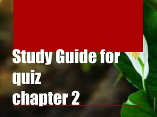 Study Guide for
quiz
chapter 2
 