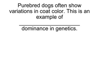 Purebred Genetics Example Study guide genetics | PPT