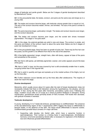 Study Guide Block Growth and Development
stages of testicular and penile growth. Below are the 5 stages of genital development described
by Marshall and Tanner.
G1: In this pre-pubertal state, the testes, scrotum, and penis are the same size and shape as in a
young child.
G2: The testes and scrotum become larger, with testicular volume greater than or equal to 4 mL.
The skin of the scrotum becomes redder, thinner, and wrinkled. The size of the penis is similar to
that in G1.
G3: The penis becomes larger, particularly in length. The testes and scrotum become even larger,
and the scrotum descends.
G4: The testes and scrotum become even larger, and the scrotal skin shows increased
pigmentation. This stage is “not quite adult”.
G5: In this stage, the external genitalia are adult in size and shape. The scrotum is ample, and
the penis and bottom of the scrotum reach to about the same level. Below are the 6 stages of
pubic hair development in boys.
P1: In this pre-pubertal stage, there has been no growth of pubic hair. There may be fine hair over
the pubes, but this growth is not different from that on the rest of the abdomen.
P2: A few lightly pigmented, longer, straight hairs, often still downy, appear at base of the penis
and sometimes on the scrotum.
P3: Hair that is still sparse, yet definitely pigmented, coarser, and curlier appears around the base
of the penis.
P4: Hair is “adult” in type, but the area covered by hair is still considerably smaller than in adults,
not going further than in the inguinal fold.
P5: Hair is adult in quantity and type and spreads up to the medial surface of the thighs, but not
up the linea alba.
P6: Further extension occurs laterally and up the linea alba after adolescence. The majority of
adult men reach this stage.
Ovarian development
Menarche, which usually occurs about 2.4 years after the start of breast development, does not
necessarily indicate that there is full interaction among the hypothalamus, the pituitary, and the
ovaries. In fact, during the first years after menarche, anovulatory cycles occur. Following this
stage, ovulation occurs after an LH surge as a result of positive feedback to estrogens. During
menstruation, gonadotropin levels (primarily levels of FSH) increase. FSH levels then decrease,
with gradual increases in estradiol.
Testicular development
In young, developing, 6- to 7-week-old embryos, gonadal tissue is undifferentiated. The presence
of the sex-determining region of the Y chromosome (SRY) triggers the tissue to differentiate to
become testes. In the absence of this SRY, the tissue would differentiate to become ovaries.
Undifferentiated gonadal tissue consists of 4 major cell lines:
1. Supporting cells develop into Sertoli cells, which have a paracrine function in
spermatogenesis. Their number is a limiting factor in spermatogenesis. Anti-Mullerian
hormone, a hormone secreted by Sertoli cells, is necessary for regression of the Mullerian
duct and influences gonadal differentiation.
Udayana University Faculty of Medicine, MEU 28
 