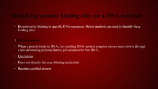 Studying Gene Expression and Function.pptx