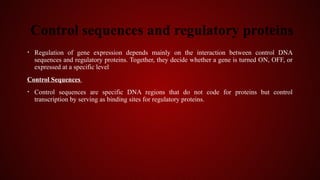 Studying Gene Expression and Function.pptx