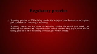 Studying Gene Expression and Function.pptx