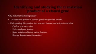 Studying Gene Expression and Function.pptx