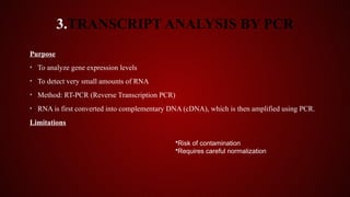 Studying Gene Expression and Function.pptx