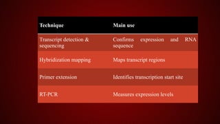 Studying Gene Expression and Function.pptx