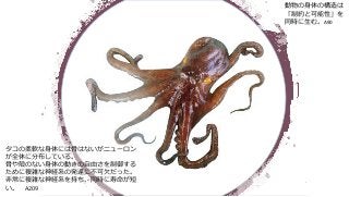 6 2 0 02102 0
I 9
I
a i csA
BMI pI uC B
r I e I o t
a ln
c h
I A90
 