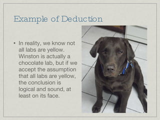 Example of Deduction In reality, we know not all labs are yellow. Winston is actually a chocolate lab, but if we accept the assumption that all labs are yellow, the conclusion is logical and sound, at least on its face. 