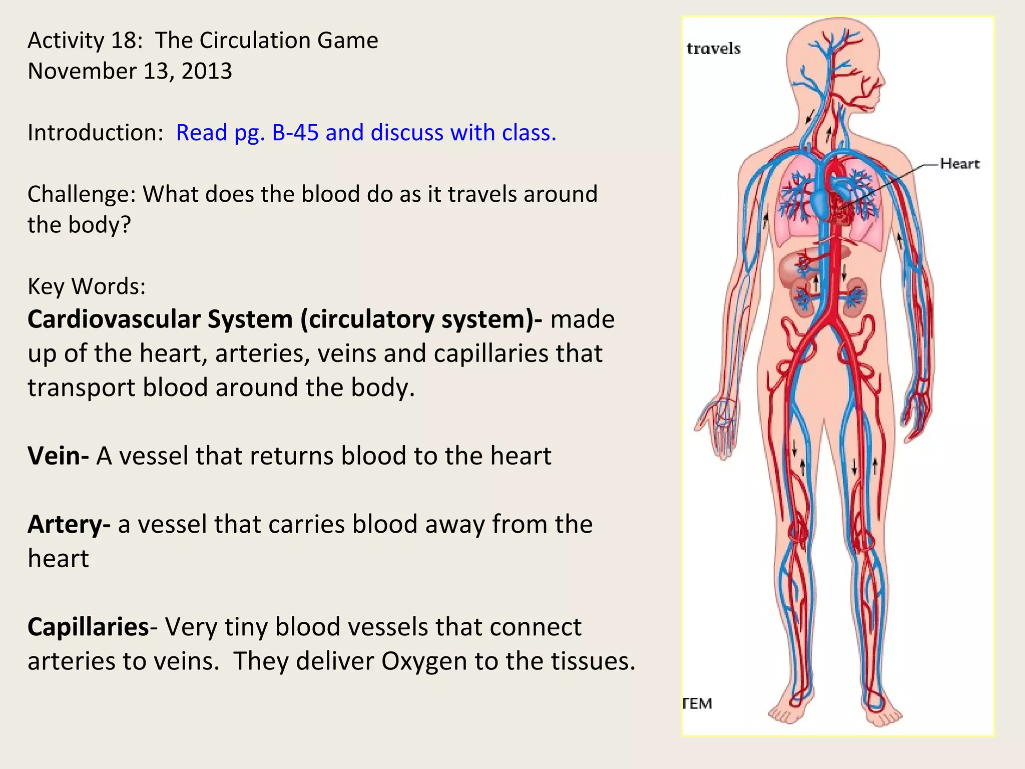 Activity 18: The Circulation Game 
November 13, 2013 
Introduction: Read pg. B-45 and discuss with class. 
Challenge: What does the blood do as it travels around 
the body? 
Key Words: 
Cardiovascular System (circulatory system)- made 
up of the heart, arteries, veins and capillaries that 
transport blood around the body. 
Vein- A vessel that returns blood to the heart 
Artery- a vessel that carries blood away from the 
heart 
Capillaries- Very tiny blood vessels that connect 
arteries to veins. They deliver Oxygen to the tissues. 
 