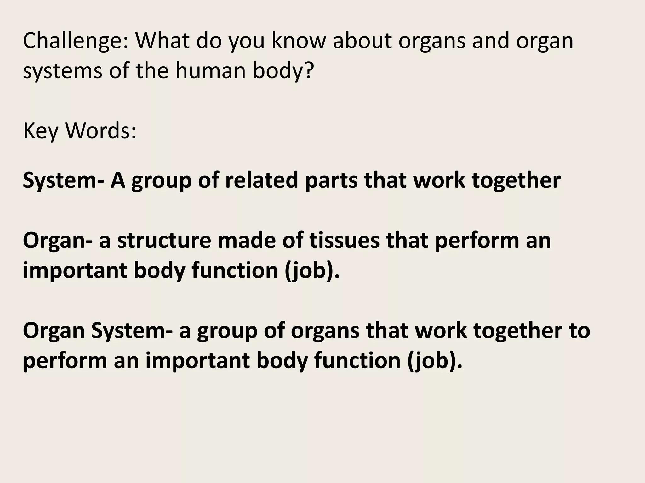 Challenge: What do you know about organs and organ 
systems of the human body? 
Key Words: 
System- A group of related parts that work together 
Organ- a structure made of tissues that perform an 
important body function (job). 
Organ System- a group of organs that work together to 
perform an important body function (job). 
 