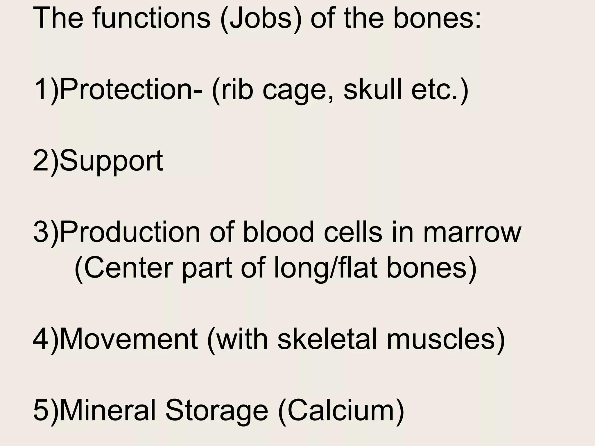 The functions (Jobs) of the bones:
1)Protection- (rib cage, skull etc.)
2)Support
3)Production of blood cells in marrow
(Center part of long/flat bones)
4)Movement (with skeletal muscles)
5)Mineral Storage (Calcium)
 