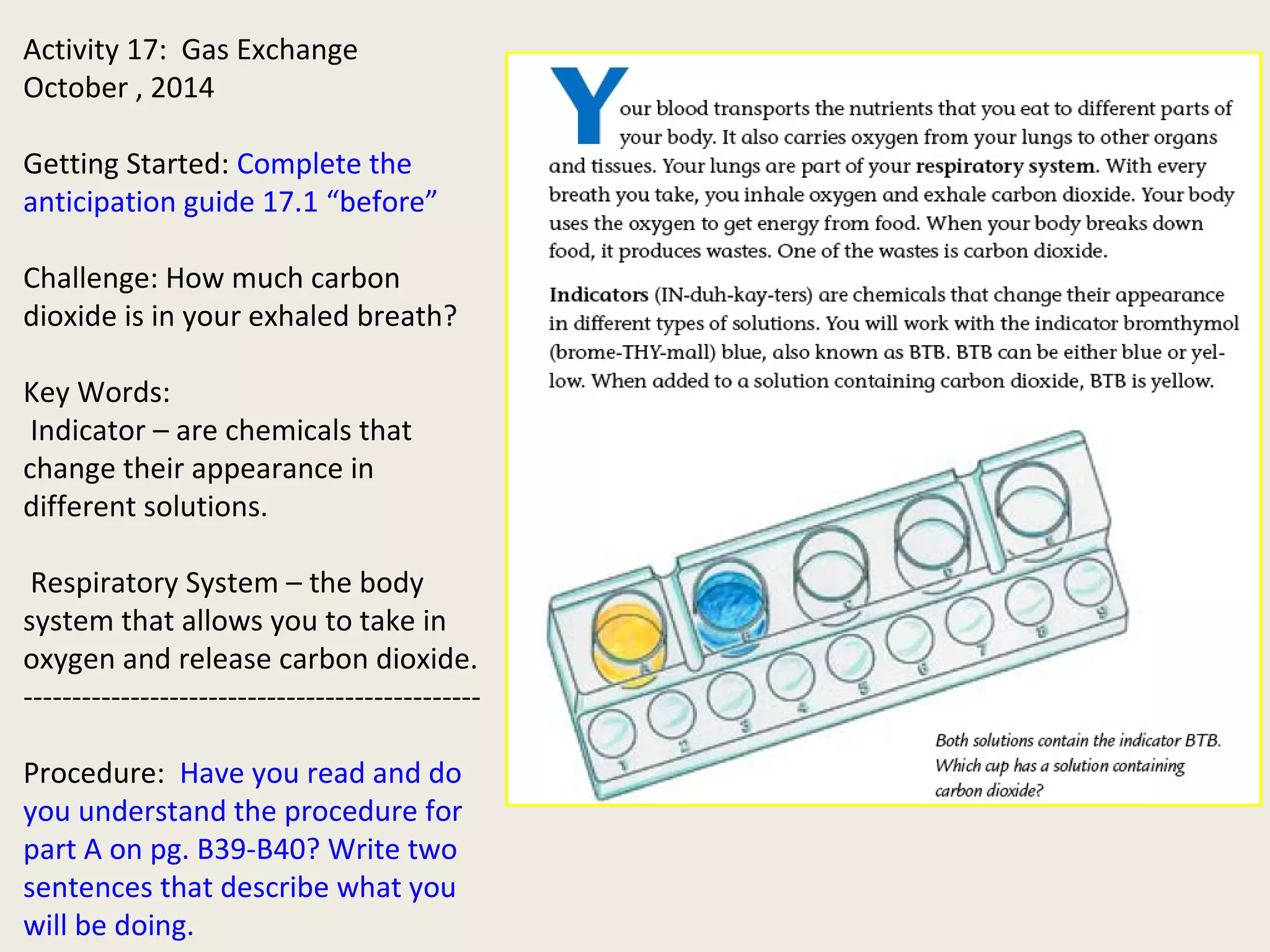 Activity 17: Gas Exchange
October , 2014
Getting Started: Complete the
anticipation guide 17.1 “before”
Challenge: How much carbon
dioxide is in your exhaled breath?
Key Words:
Indicator – are chemicals that
change their appearance in
different solutions.
Respiratory System – the body
system that allows you to take in
oxygen and release carbon dioxide.
-----------------------------------------------
Procedure: Have you read and do
you understand the procedure for
part A on pg. B39-B40? Write two
sentences that describe what you
will be doing.
 