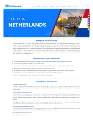 Study in Netherlands Colleges, Fees, Cost, Scholarships, and VISA
