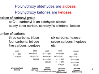 Study Material [8]-Carbohydrates PPT.ppt