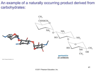Study Material [8]-Carbohydrates PPT.ppt