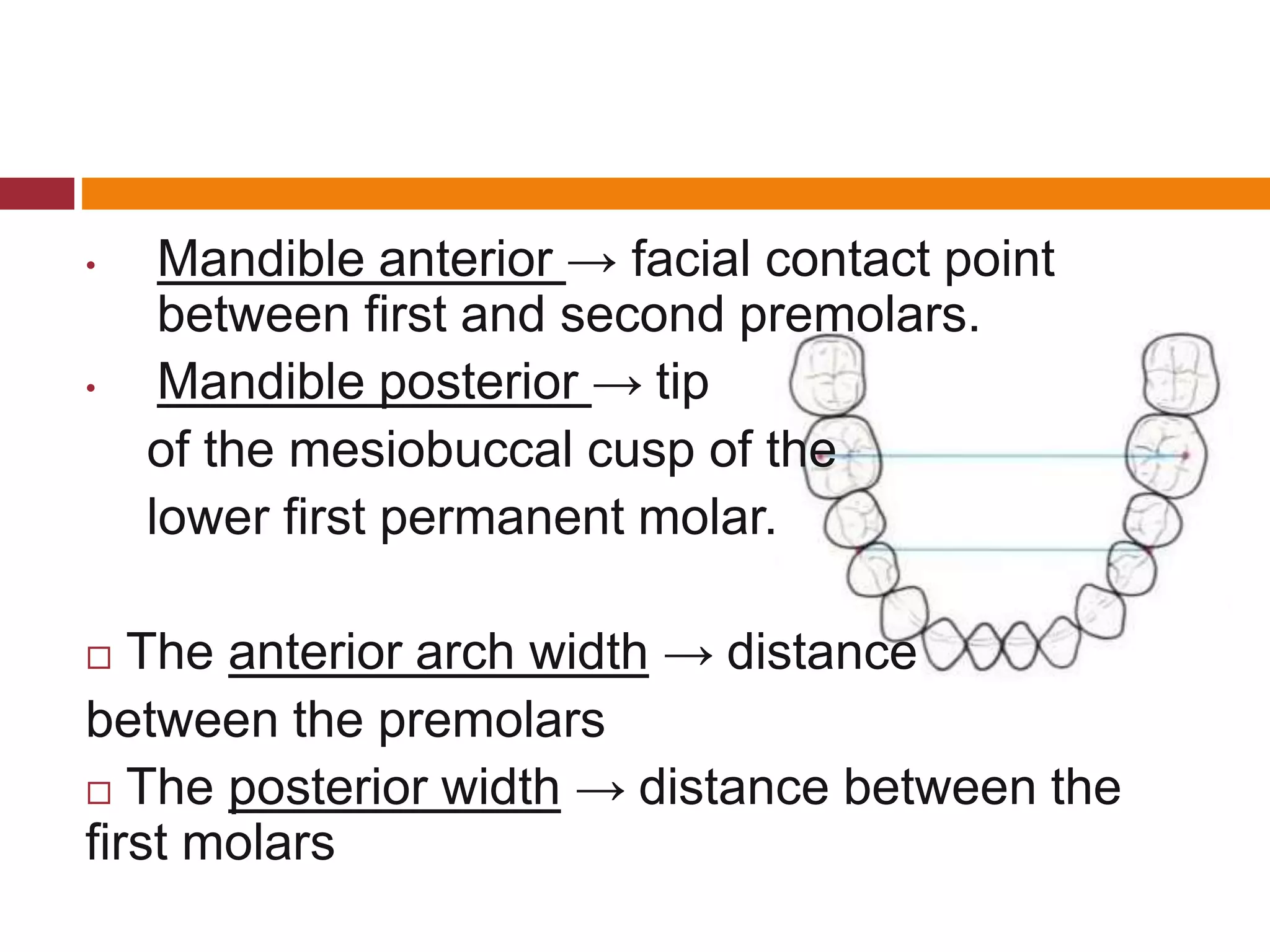 Study models in Orthodontics | PPTX