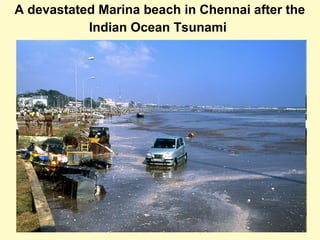 A devastated Marina beach in Chennai after the
Indian Ocean Tsunami
 