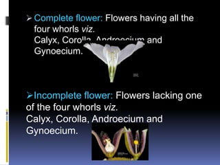  Complete flower: Flowers having all the
  four whorls viz.
  Calyx, Corolla, Androecium and
  Gynoecium.



Incomplete flower: Flowers lacking one
of the four whorls viz.
Calyx, Corolla, Androecium and
Gynoecium.
 