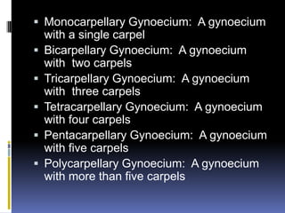  Monocarpellary Gynoecium: A gynoecium
  with a single carpel
 Bicarpellary Gynoecium: A gynoecium
  with two carpels
 Tricarpellary Gynoecium: A gynoecium
  with three carpels
 Tetracarpellary Gynoecium: A gynoecium
  with four carpels
 Pentacarpellary Gynoecium: A gynoecium
  with five carpels
 Polycarpellary Gynoecium: A gynoecium
  with more than five carpels
 