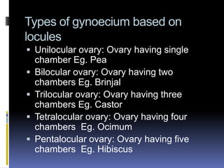 Types of gynoecium based on
locules
 Unilocular ovary: Ovary having single
    chamber Eg. Pea
   Bilocular ovary: Ovary having two
    chambers Eg. Brinjal
   Trilocular ovary: Ovary having three
    chambers Eg. Castor
   Tetralocular ovary: Ovary having four
    chambers Eg. Ocimum
   Pentalocular ovary: Ovary having five
    chambers Eg. Hibiscus
 