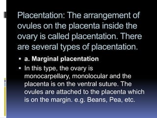 Placentation: The arrangement of
ovules on the placenta inside the
ovary is called placentation. There
are several types of placentation.
 a. Marginal placentation
 In this type, the ovary is
  monocarpellary, monolocular and the
  placenta is on the ventral suture. The
  ovules are attached to the placenta which
  is on the margin. e.g. Beans, Pea, etc.
 