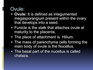 Ovule:
 Ovule: It is defined as integumented
    megasporangium present within the ovary
    that develops into a seed.
   Funicle is the stalk that attaches ovule at
    maturity to the placenta.
   The place of attachment is Hilium.
   The mass of parenchyma cells forming the
    main body of ovule is the Nucellus.
   The basal part of the nucellus is called
    chalaza.
 