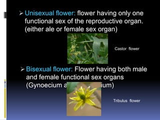  Unisexual flower: flower having only one
  functional sex of the reproductive organ.
  (either ale or female sex organ)

                                 Castor flower




 Bisexual flower: Flower having both male
  and female functional sex organs
  (Gynoecium and androecium)

                                Tribulus flower
 