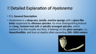 Study of animals from Protozoa, (Amoeba, Paramecium, Euglena) and ...
