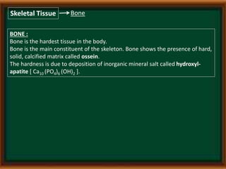 Study of animal tissue | PPTX
