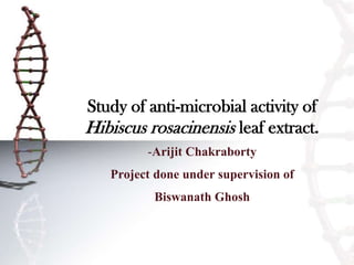 Study of anti-microbial activity of
Hibiscus rosacinensis leaf extract.
-Arijit Chakraborty
Project done under supervision of
Biswanath Ghosh
 